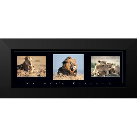 Lion Tryp Black Modern Wood Framed Art Print by Unknown