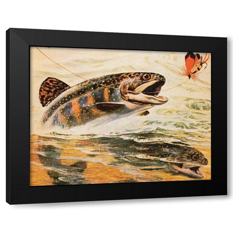 Trout and Fly Black Modern Wood Framed Art Print with Double Matting by Unknown