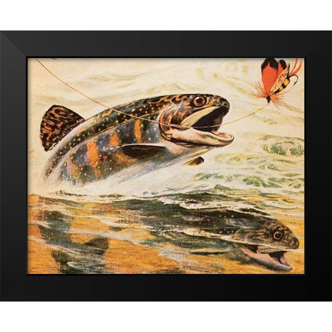 Trout and Fly Black Modern Wood Framed Art Print by Unknown