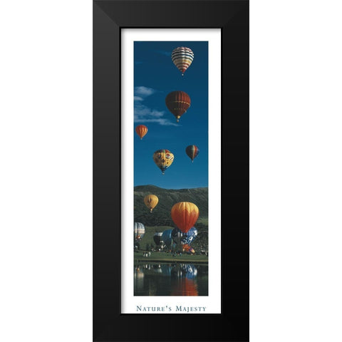 Balloons - Natures Majesty Black Modern Wood Framed Art Print by Unknown