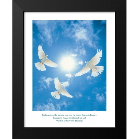 Dserenity - Doves Black Modern Wood Framed Art Print by Frontline