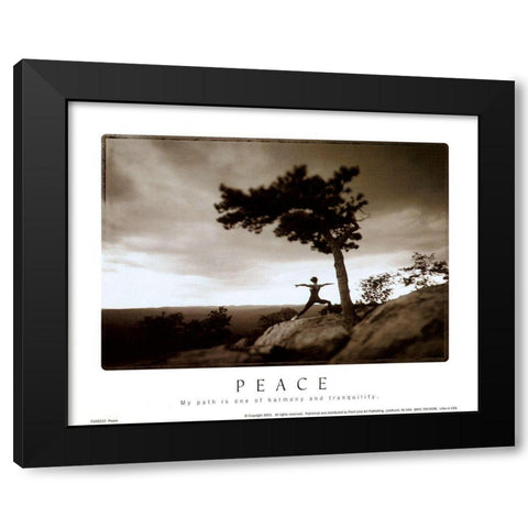 Zen - Peace Black Modern Wood Framed Art Print with Double Matting by Unknown