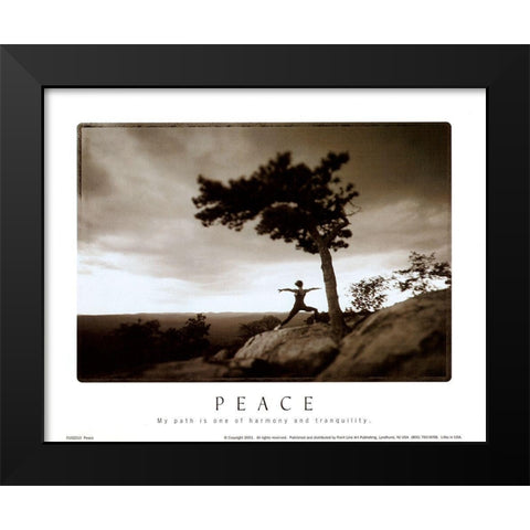 Zen - Peace Black Modern Wood Framed Art Print by Unknown
