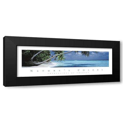 Natures Colors Palm Trees Black Modern Wood Framed Art Print by Unknown