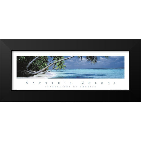 Natures Colors Palm Trees Black Modern Wood Framed Art Print by Unknown