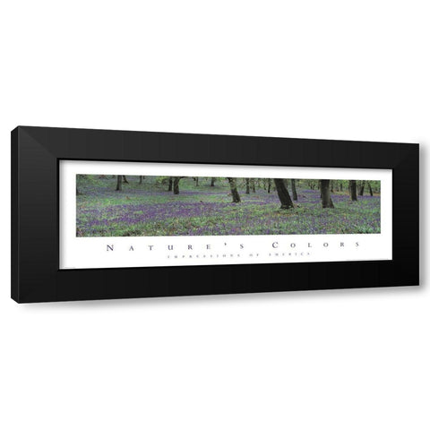 Natures Colors Purple Flowers Black Modern Wood Framed Art Print by Unknown
