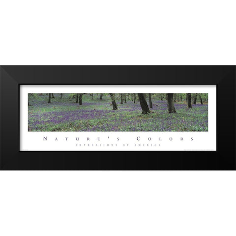 Natures Colors Purple Flowers Black Modern Wood Framed Art Print by Unknown