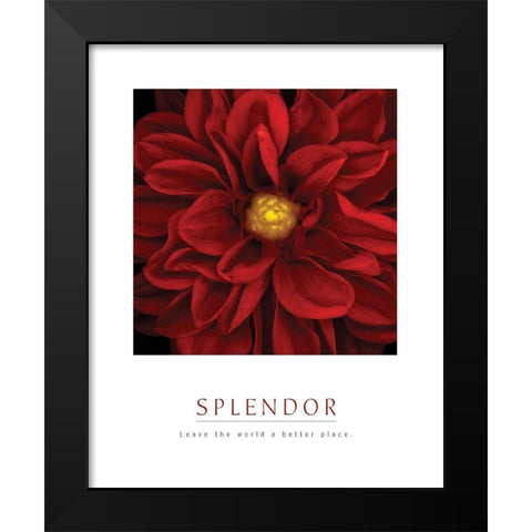 Splendor - Red Pool Black Modern Wood Framed Art Print by Unknown