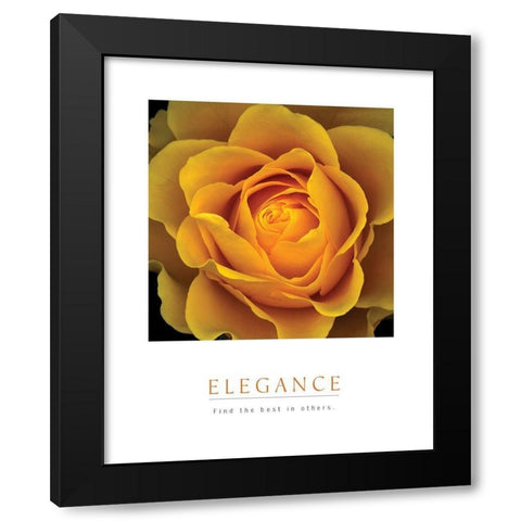 Elegance - Peach Rose Black Modern Wood Framed Art Print with Double Matting by Unknown
