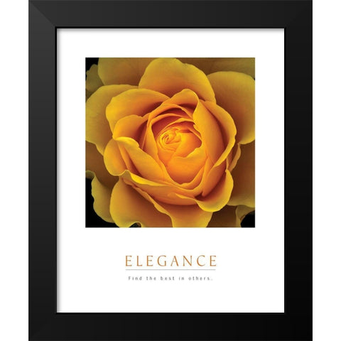 Elegance - Peach Rose Black Modern Wood Framed Art Print by Unknown