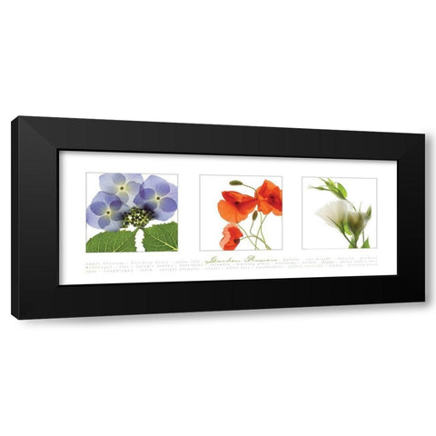 Garden Flowers III Black Modern Wood Framed Art Print with Double Matting by Frontline