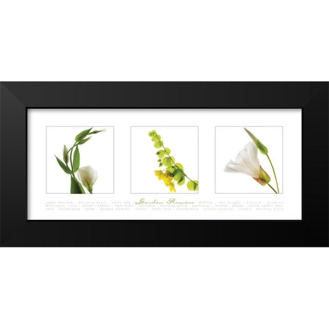 Garden Flowers V Black Modern Wood Framed Art Print by Frontline