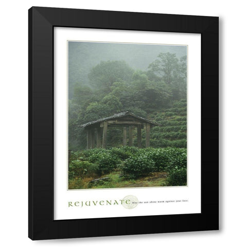 Rejuvenate - Pagoda Black Modern Wood Framed Art Print by Frontline