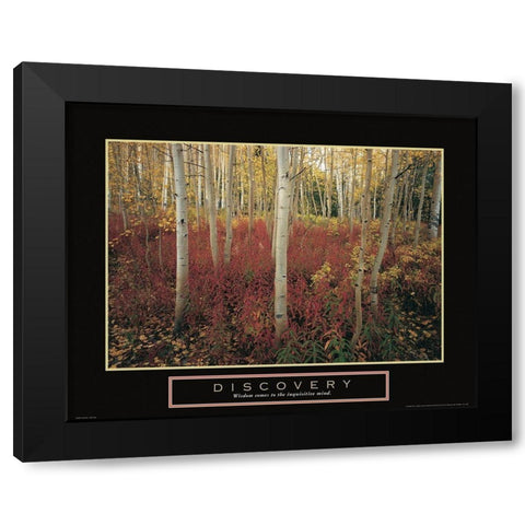 Discovery - Aspen Trees Black Modern Wood Framed Art Print by Frontline