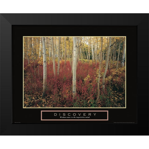 Discovery - Aspen Trees Black Modern Wood Framed Art Print by Frontline