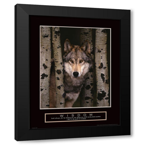 Wisdom - Grey Wolf Black Modern Wood Framed Art Print with Double Matting by Frontline