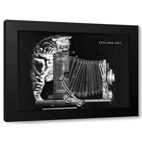 Cat and Camera Black Modern Wood Framed Art Print by Frontline