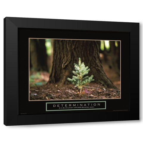 Determination - Little Pine Black Modern Wood Framed Art Print by Frontline