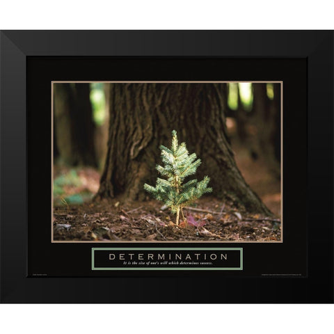Determination - Little Pine Black Modern Wood Framed Art Print by Frontline