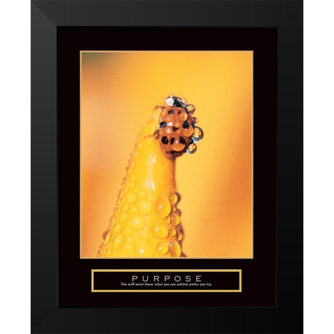 Purpose - Lady Bug Black Modern Wood Framed Art Print by Frontline