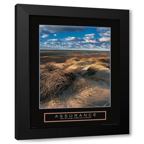 Assurance - Beach Grass Black Modern Wood Framed Art Print with Double Matting by Frontline