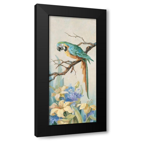 Parrot Looking Down Black Modern Wood Framed Art Print with Double Matting by Unknown
