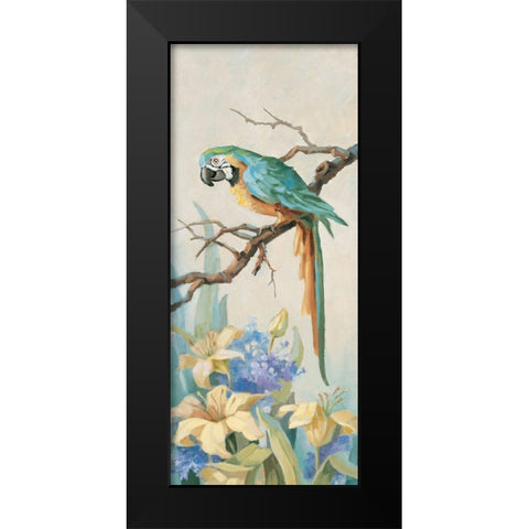 Parrot Looking Down Black Modern Wood Framed Art Print by Unknown
