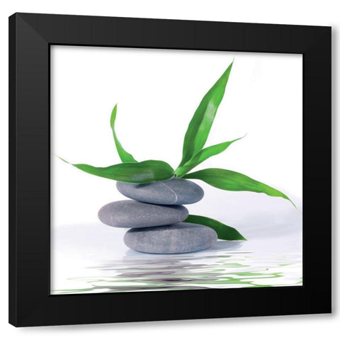 Aqua III Black Modern Wood Framed Art Print with Double Matting by BRAUN Studio