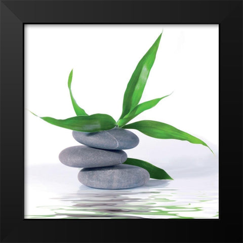 Aqua III Black Modern Wood Framed Art Print by BRAUN Studio