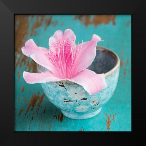 Fraicheur Matinale I Black Modern Wood Framed Art Print by BRAUN Studio