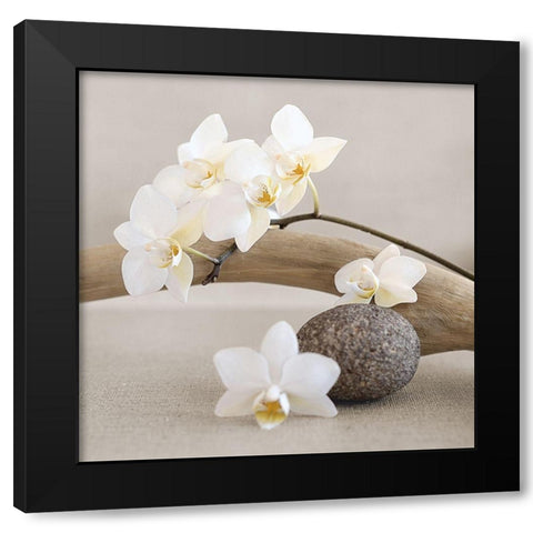 White orchid Black Modern Wood Framed Art Print by Chatelain, Sonia