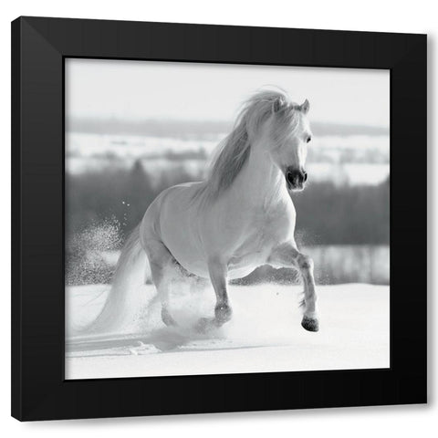 CriniÃ¨re de Neige Black Modern Wood Framed Art Print with Double Matting by Braun Studio