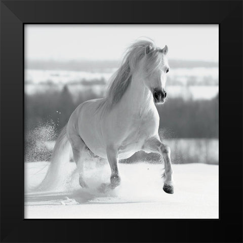 CriniÃ¨re de Neige Black Modern Wood Framed Art Print by Braun Studio