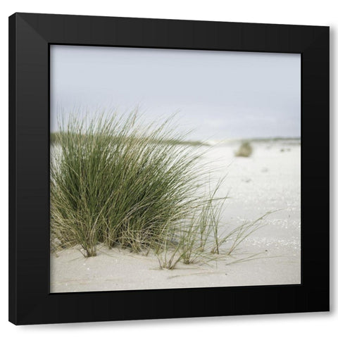 Plage 6 Black Modern Wood Framed Art Print by Braun Studio