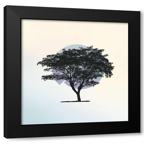 Spectrum 2 Black Modern Wood Framed Art Print by Braun Studio