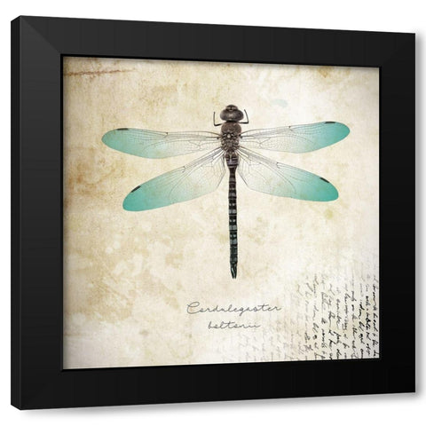 Cardulegaster baltanii Black Modern Wood Framed Art Print by Braun Studio