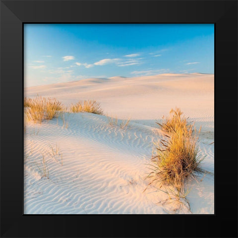 Seigle de Mer Black Modern Wood Framed Art Print by Braun Studio