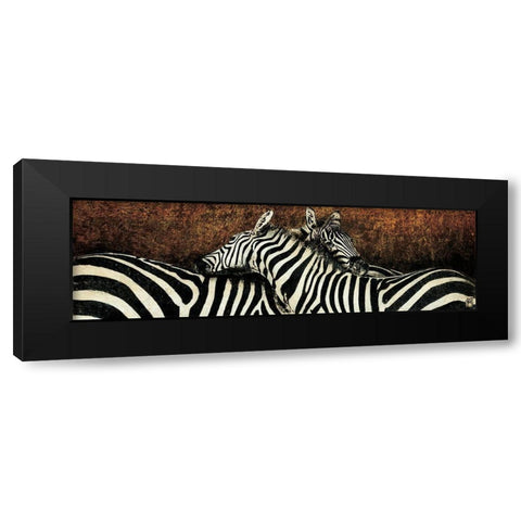 Les deux zebres Black Modern Wood Framed Art Print with Double Matting by Arietti, Fabienne