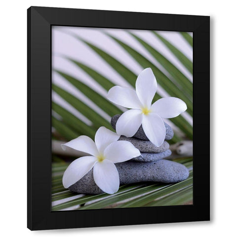 Zen et galets I Black Modern Wood Framed Art Print by Chatelain, Sonia