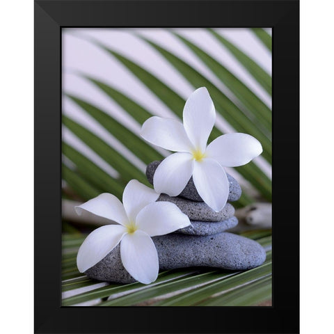 Zen et galets I Black Modern Wood Framed Art Print by Chatelain, Sonia