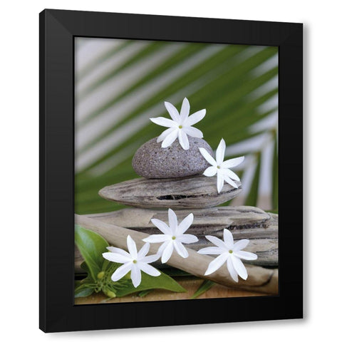 Zen et galets II Black Modern Wood Framed Art Print by Chatelain, Sonia