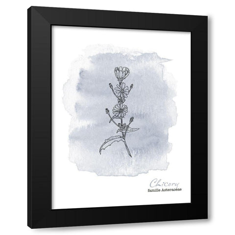 Planche botanique 1 Black Modern Wood Framed Art Print with Double Matting by Braun Studio