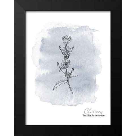 Planche botanique 1 Black Modern Wood Framed Art Print by Braun Studio