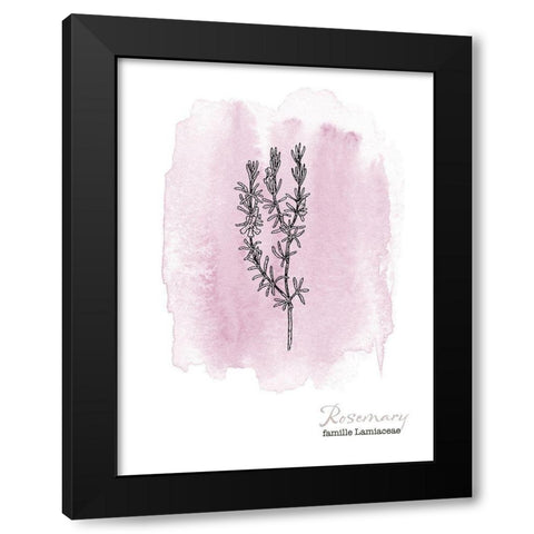 Planche botanique 2 Black Modern Wood Framed Art Print with Double Matting by Braun Studio