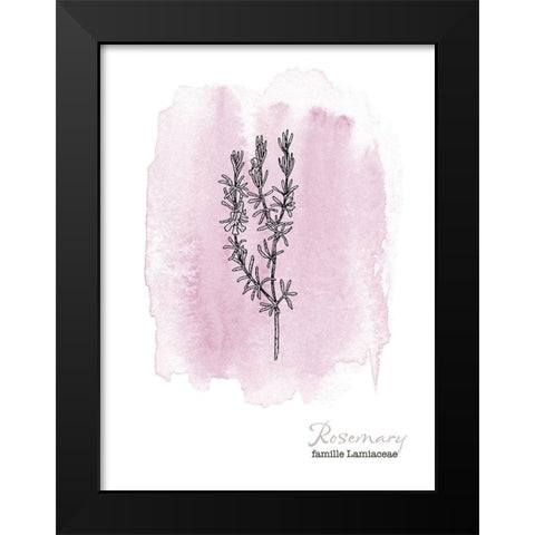Planche botanique 2 Black Modern Wood Framed Art Print by Braun Studio