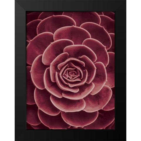 Cactus flower Black Modern Wood Framed Art Print by Braun Studio