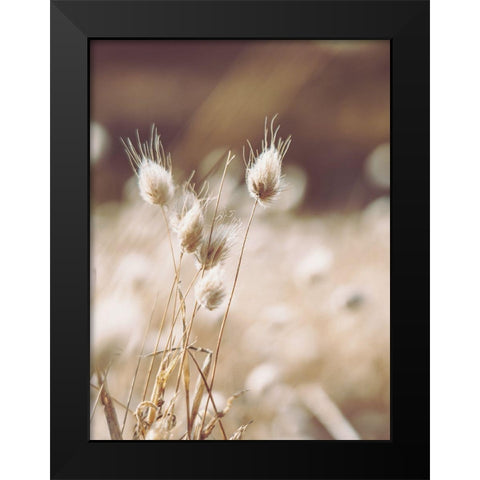 Herbes des Champs 1 Black Modern Wood Framed Art Print by BRAUN Studio