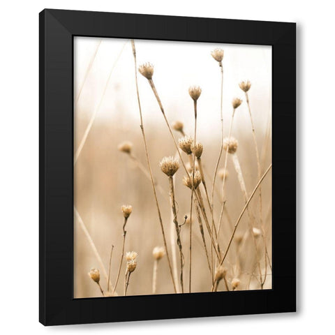 Herbes des Champs 2 Black Modern Wood Framed Art Print by BRAUN Studio