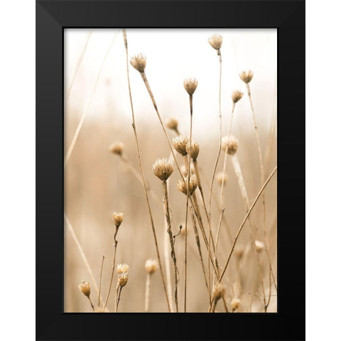 Herbes des Champs 2 Black Modern Wood Framed Art Print by BRAUN Studio