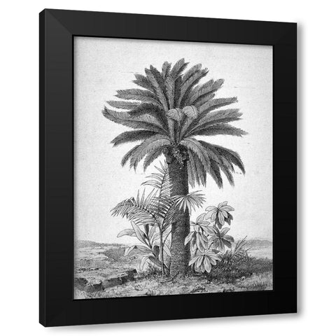 Palmier Black Modern Wood Framed Art Print with Double Matting by BRAUN Studio